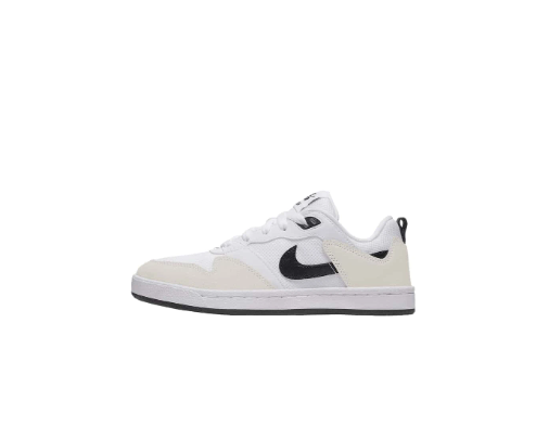 Nike SB Alleyoop White Leather & Suede Low Top Skateboarding Shoes, Women/Teens, CJ0883-100