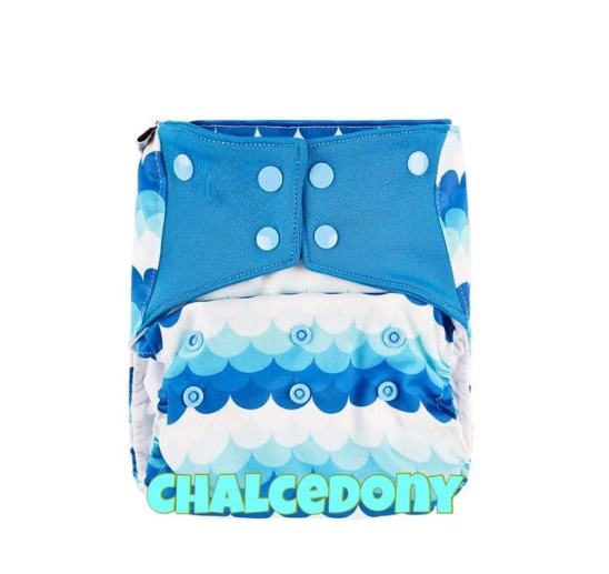 Booldeet Biggie Flex Cloth Diaper (Ideal for Toddlers 1-5 years old) D14