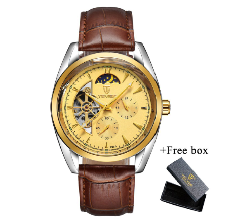 TEVISE Watch for men Automatic analog Skeleton Gold Luxury Stainless Steel Strap Waterproof Tourbillon 795A 6