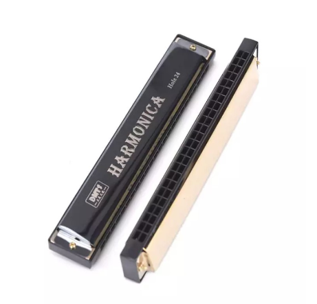 RIXTON Harmonica 24 Hole Key Of C Play Tremolo Mouth Organ Double Row Blues