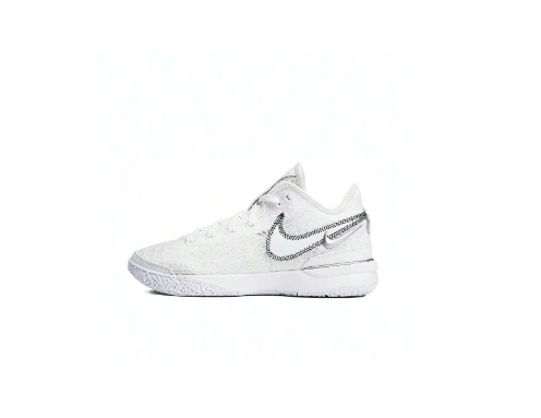 Nike 2024 Men's ZOOM LEBRON NXXT GEN EP Basketball Shoes, DR8788-101