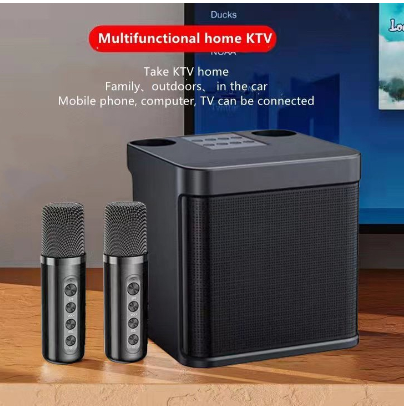 Bluetooth Speaker with mic Wireless Bluetooth Dual Microphone Karaoke Speaker 3D Stereo Amplifier203