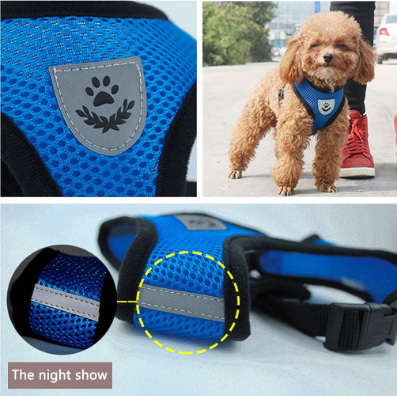 Pet Harness With Leash Set Walking Puppy Harness and Leash Pets Dog Cat Adjustable Breathable Vest