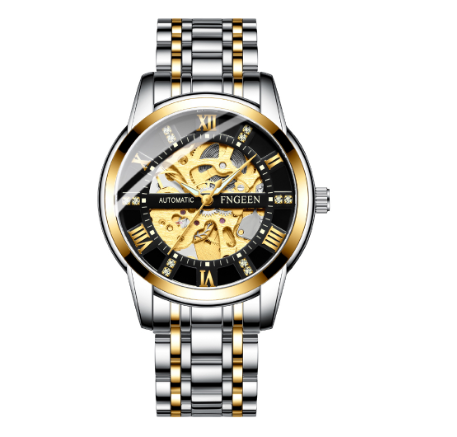 FNGEEN 6020 Men's Automatic Mechanical Watch SILVER GOLD BLACK
