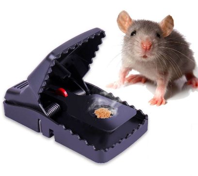 Mouse Rat  Traps  - High  Sensitive Snap Big  Plastic  Mouse  Trap  Rodent Catcher -Z139