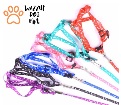 Dog Cat Harness Chain Pet Puppy Lead Leash Collars