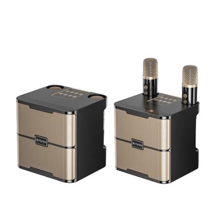 BAVIN BM22 Mini Amplifier Karaoke Bluetooth 5.0V Wireless Speaker with Heavy Bass Sound Dual Mic