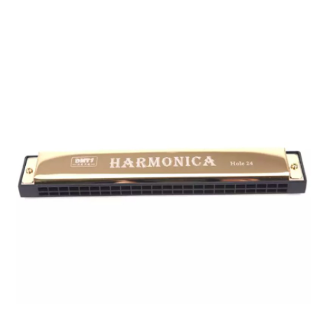 24 Hole Key Of C Play Harmonica Tremolo Harmonica Mouth Organ Double Row Blues