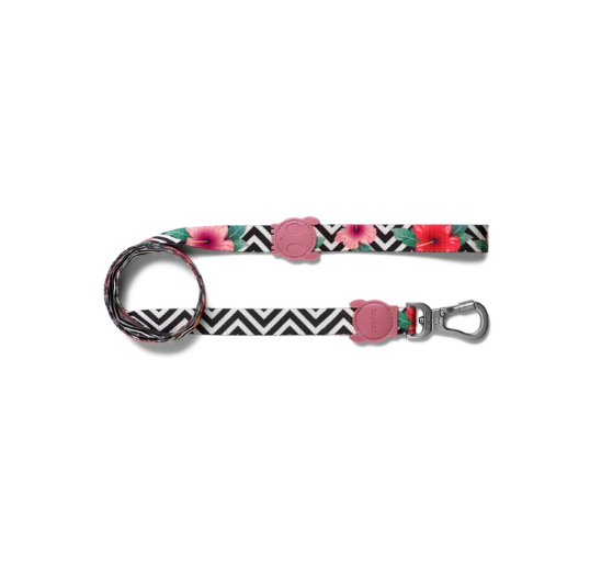 Zeedog Dog Leash [Mahalo]