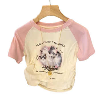 Lovito Casual Cartoon Colorblock Raglan Sleeve T-Shirt for Women LNE13024 (Pink)