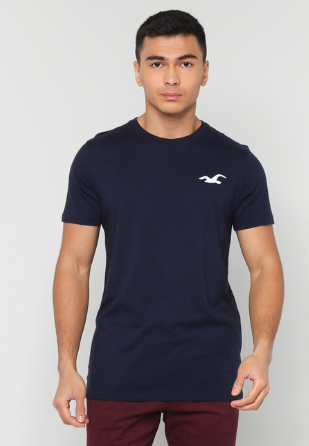Hollister Crew Exploded Icon Tee