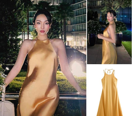 Halter Backless Color Long Suspender Dress