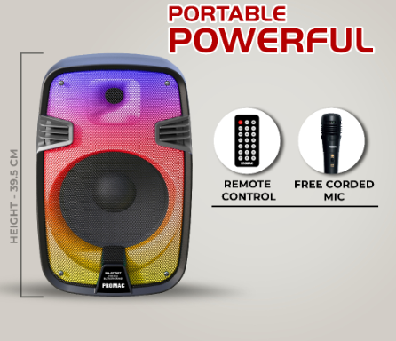 Promac PA-805BT 8" Active Speaker with LED Flamelight