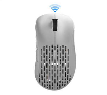 Pulsar XLite V2 Wireless Gaming Mouse (White) (PXW22)