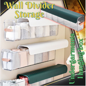 6Cell Clear Rack Drawer Type Closet Wall Mounted Divider Storage Underwear Socks Wardrobe Organizer