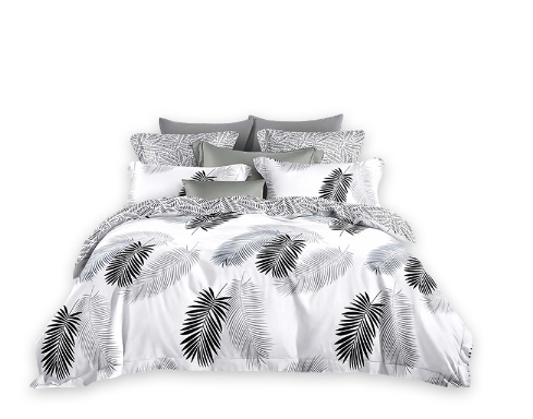 Socone 3IN1 Korea Cotton FULL Size Bedsheet Set 54*75+7.8 Fitted Sheet 4310-54