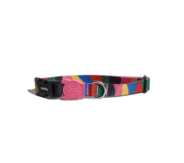 Zeedog Dog Collar (Chroma)