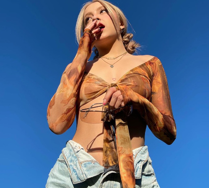 Women Sexy Ins Style Summer Print Mesh See Through Cropped Tshirt