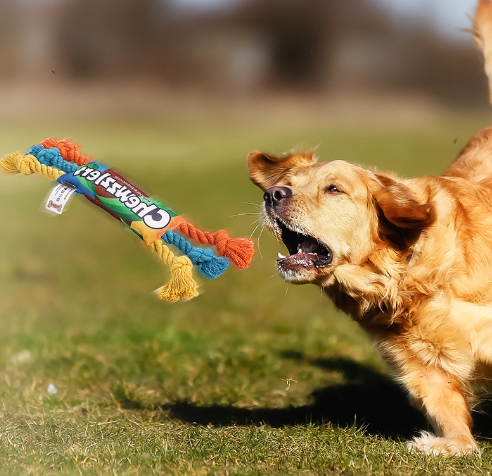 Dogs Toys Puppy colorful Cotton Chew Rope Knot Toy Durable Braided Dog Toys Dog Cleaning Teeth Braided Bone Rope