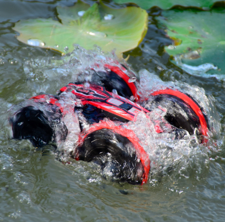 Cadim Dual RC Children's Remote Control Toy Car Gesture Sensing Rotary Stunt toys for girls and boys