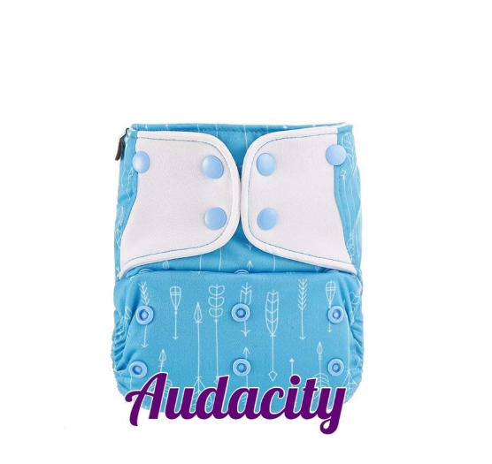 Booldeet Posh Cloth Diaper Newest Prints with 4-Layer Contoured Microfiber Insert S26