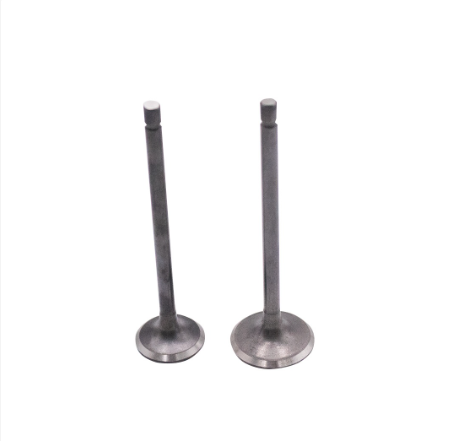 SK Intake Exhaust Engine Valve For Honda CG125
