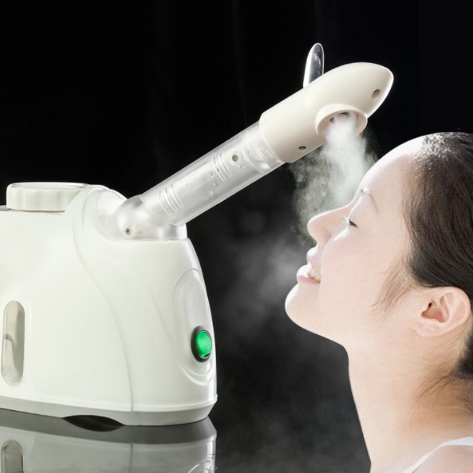 Ozone Facial Sauna Steamer Unblock Pores Spa Face Salon Skin Care