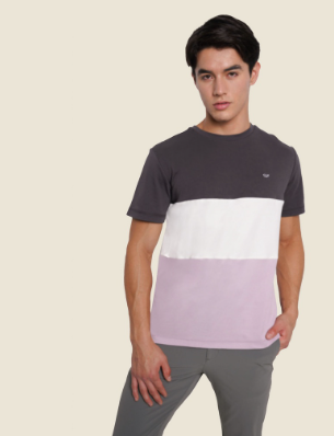 Memo Color Blocked Panel T-Shirt For Men (Gray)