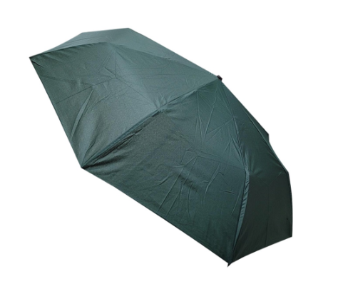 Stella Essentials Basic Automatic Umbrella (Green)