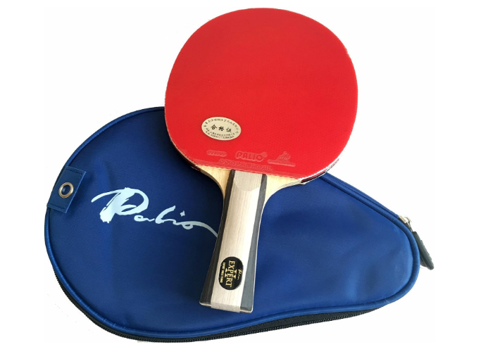Expert 2 Table Tennis Bat & Case