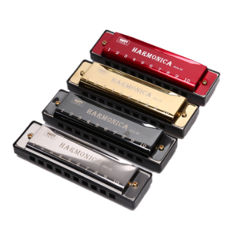 10 Hole Harmonica Mouth Organ Puzzle Musical Instrument Beginner Teaching