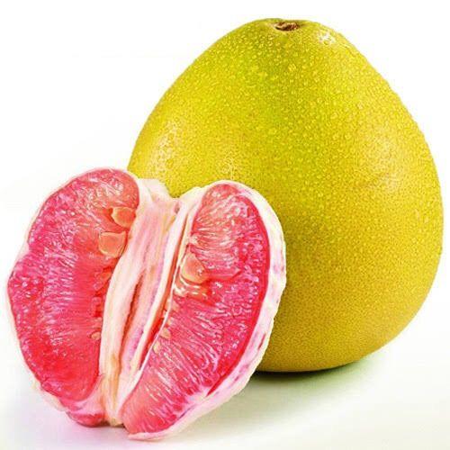 Menzi Pomelo