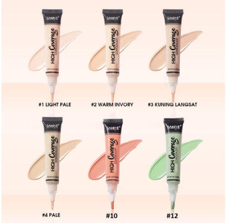 SANIYE 6 Colors Matte Easy To Color Perfect Full Coverage Concealer R1072