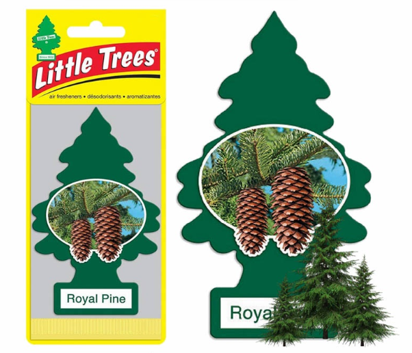 Little Trees Car Air Freshener 10101 (Royal Pine) Hanging Tree Provides Long Lasting Scent