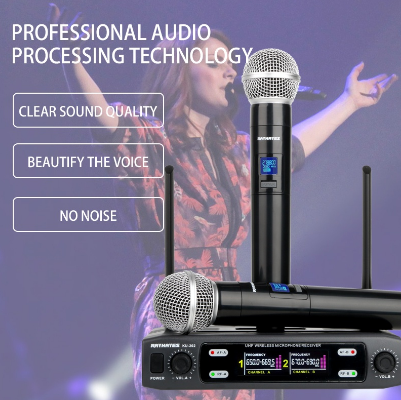 RAYHAYES Professional Wireless Microphone Original UHF Handheld Mic for Videoke Bluetooth Speaker