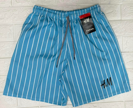 STRIPE TASLAN SHORTS