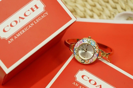 Coach Bangle Watch Fashion Watch Women’s Accessories