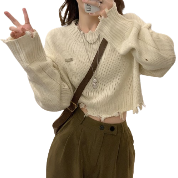 Lovito Women Casual Plain Raw Hem Sweater LNA42010