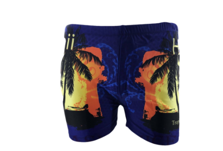Men's Swimming Trunks Beach Short Swimwear Short Spandex