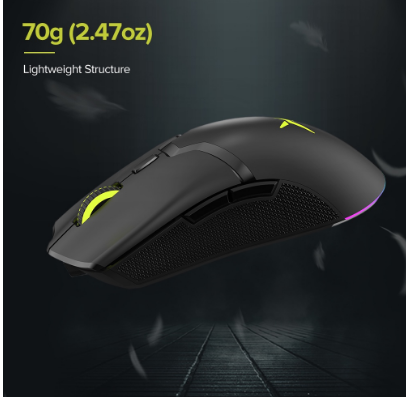 Delux M800Pro M800Pro Paw3370 RGB Optical Rechargeable Programmable Wireless Gaming Mouse Type C Wired Support 19000 Dpi Ergonomic Mice 1000Hz