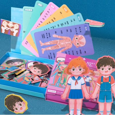 Wooden Magnetic Body Structure Puzzle Educational Toys