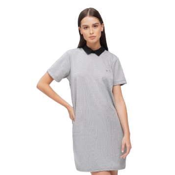 Memo Collared Dress For Women (Gray)