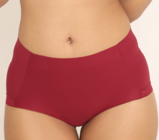 Lady Grace Seamless Full Panty - 6469