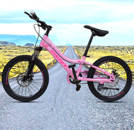 Japan Mountain Bike 20-Inch Cross-Country Adult Bicycle Color Steel Frame For Young Students 113