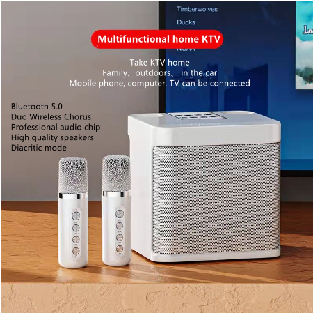 Multifunctional Home KTV with  Bluetooth Microphone & Audio Portable Stereo