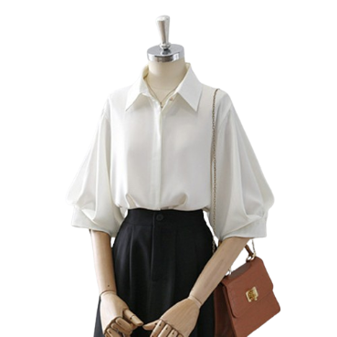 Lovito Women Elegant Plain Button Front Puff Sleeve Blouses L65ED001 (Multi-color)