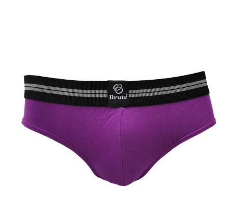 Brute Premium Modal Hipster Briefs - Wood Violet (Single)