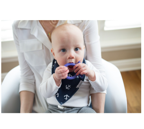 Dr. Brown's Flexees Friends Octopus Teether, Purple-DR-T006-P2