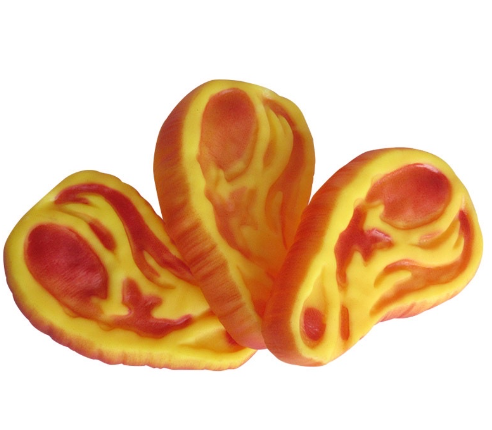 Puppy Teething Toys Beef Dog Chew