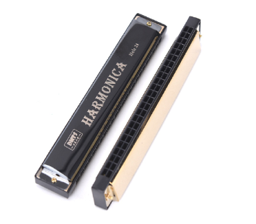 24 Hole Key Of C Play Harmonica Tremolo Harmonica Mouth Organ Double Row Blue